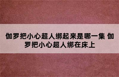 伽罗把小心超人绑起来是哪一集 伽罗把小心超人绑在床上